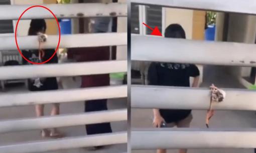 Con gái 'bùng hàng' shipper, thái độ của người mẹ khiến dân mạng 'sôi sục' 