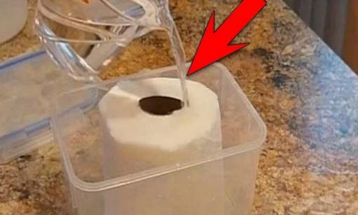 Đổ giấm vào cuộn giấy vệ sinh, kinh nghiệm 'bạc triệu' hữu ích không phải cũng biết