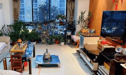 “Tứ vật không vào nhà, gia đình thịnh vượng, nhân tài phát đạt”, phòng khách dù rộng đến đâu cũng không nên đặt những thứ này