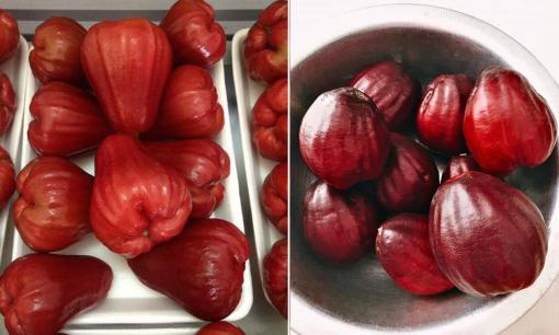 Loại quả mà ai nhìn lần đầu cũng tưởng là roi nhưng thơm ngon và đắt đỏ hơn nhiều