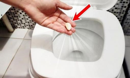 Bỏ tỏi vào bồn cầu ban đêm, mẹo nhỏ giúp công việc dọn nhà trở nên nhàn tênh