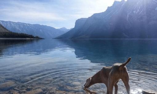 Tại sao nước tự nhiên trên trái đất không hết hạn trong hàng tỷ năm? Còn nước đóng chai lại có hạn sử dụng?