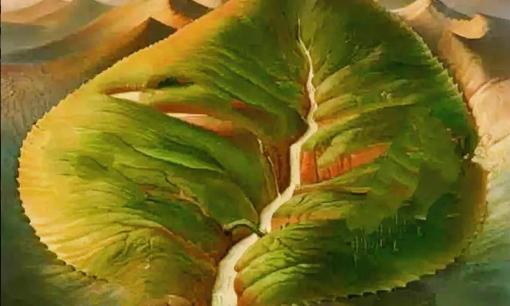 Trắc nghiệm tâm lý: Điều đầu tiên bạn nhìn thấy là gì, đo lường số phận của bạn