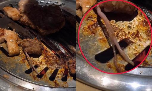 Thực khách bủn rủn chân tay khi đang ăn đồ nướng bỗng phát hiện sinh vật lạ 'nhảy múa' trên miếng thịt