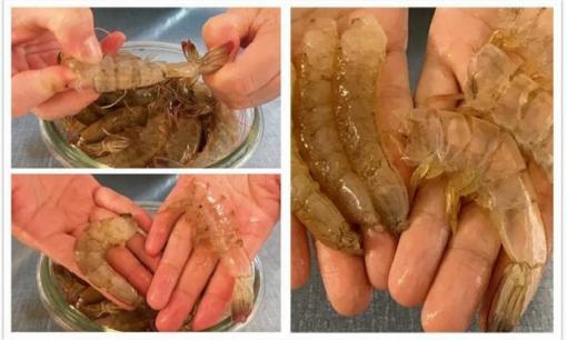 Hóa ra lột vỏ tôm lại đơn giản như vậy, dạy bạn một mẹo nhỏ, kéo nhẹ nhàng, mất 3 giây, đơn giản và thiết thực