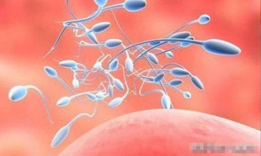 Hầu hết đàn ông 'nam tính' đều có 2 dấu hiệu này, nhưng hormone nam quá nhiều sẽ kéo theo hệ lụy này