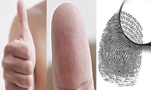 Các cụ nói cấm có sai: '1 hoa nghèo, 2 hoa giàu, 3 hoa 4 hoa bán đậu hũ'. Kinh nghiệm của người xưa có lý không? 