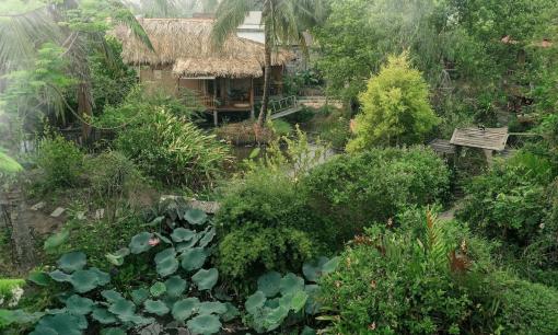 Một người có kinh nghiệm chỉ rõ '6 được và 4 mất' khi bỏ phố về quê 