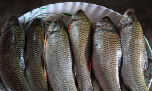 Cá rất giàu giá trị dinh dưỡng nhưng có một số bộ phận của cá không ăn được
