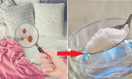 Khi làm sạch ga trải giường và mền, hãy cho một ít thứ này vào, ve và vi khuẩn có thể bị loại bỏ trong 5 phút