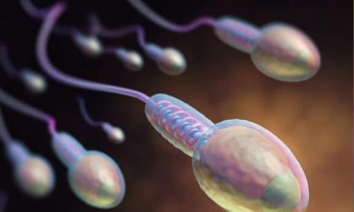 Điều gì sẽ xảy ra nếu một người đàn ông không 'xuất tinh' trong một thời gian dài? Bác sĩ: Có thể có 5 hậu quả lớn