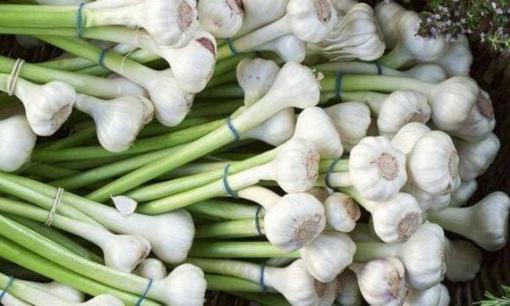 Những người nhất quyết ăn 'tỏi' mỗi ngày, cuối cùng họ nhận được gì? Bác sĩ cho bạn biết câu trả lời