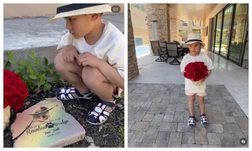 Con trai Đan Trường gây xúc động với hành động đặc biệt dành cho chú cún qua đời, đủ biết sống tình cảm thế nào