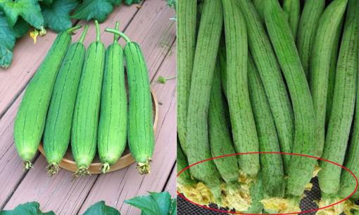 Mua mướp có nên chọn quả có hoa ở cuống rốn? Mẹo chọn mướp ngon, không sử dụng thuốc tăng trưởng