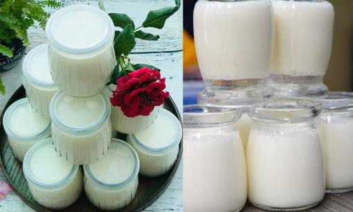 Sữa chua làm theo bí quyết này sánh mịn, đông như thạch ai cũng thích 