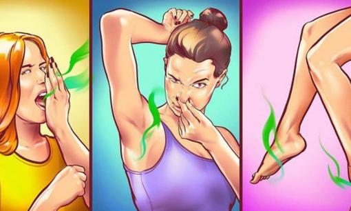 Không cần nước hoa hay sữa tắm đắt tiền, 3 loại lá càng dùng cơ thể càng thơm