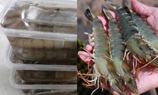 Nếu để cá, tôm trong tủ lạnh lâu hơn thời gian này thì dù đắt cỡ nào cũng phải 'vứt đi', lão ngư chia sẻ cách bảo quan tôm đúng cách