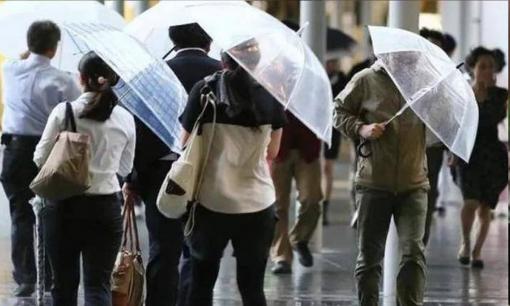 Vì sao người Nhật thích dùng ô cán dài thay vì ô gấp? Bạn sẽ biết sau khi đọc nó