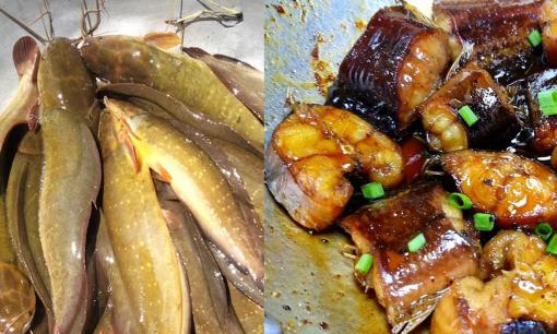 Loại cá rẻ bèo ở chợ, bán như khoai lang nhưng lại bổ như vi cá mập, làm món kho cực hao cơm 