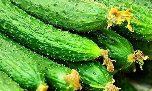 Thời điểm giao mùa xuân hạ, “4 loại rau” này không bổ dưỡng lại hại thân, người bán rau không bao giờ ăn chúng