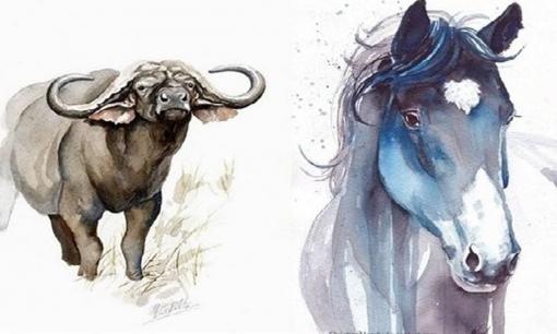 Tử vi 12 con giáp thứ 4 ngày 3/5/2023: Tuổi Sửu kiếm ra tiền, Ngọ cần thận trọng