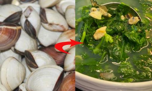 Làm thế nào để ngao nhả cát nhanh nhất? Đầu bếp chỉ 5 mẹo làm sạch chỉ trong 10 phút