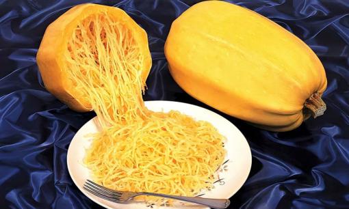 Bí sợi mì có gì đặc biệt mà đắt đỏ đến vậy? Người người, nhà nhà săn lùng để mua