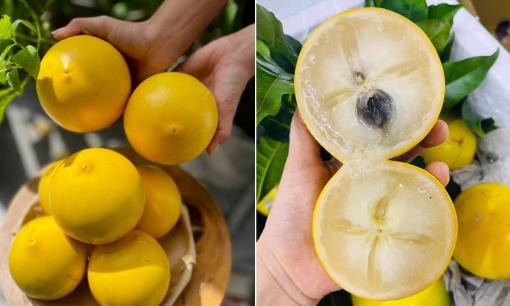 Loại quả nhìn bên ngoài giống đào tiên, bên trong ngọt lịm pha lẫn vị xoài, giá không hề rẻ
