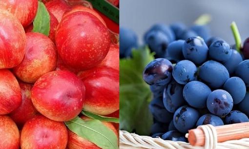Bước sang tháng 5, 4 loại quả 'hóc môn' này càng ít mua càng tốt, vừa đắt vừa dở tệ, nhiều người còn coi như bảo bối