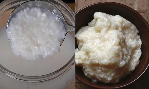 Mẹo nuôi và giữ mẻ trong nhà được lâu, không bị nấm mốc