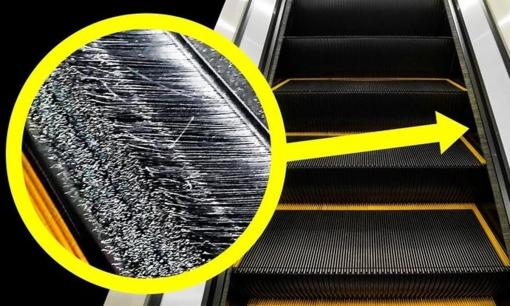 Phần lông bàn chải ở 2 bên thang cuốn có chức năng gì? Bạn cần phải biết!