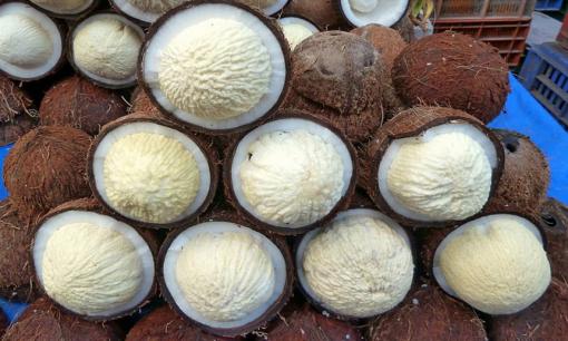 Phần lõi trắng trong quả dừa khô thường bị vứt đi, nay là đặc sản hiếm có khó tìm