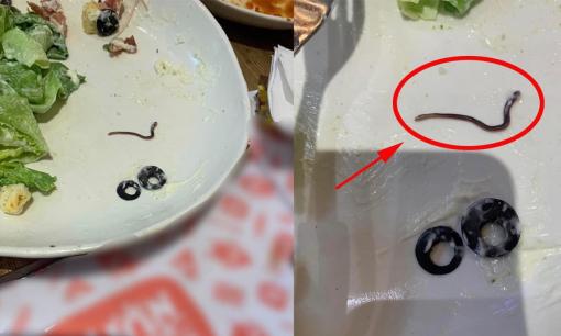 Thực khách có trải nghiệm kinh hồn khi chiêm ngưỡng 'sinh vật lạ' bò ngoe nguẩy trong đĩa salad