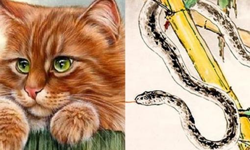  3 cặp con giáp này sau khi kết hôn yêu chiều nhau, định mệnh giàu sang phú quý mãi mãi