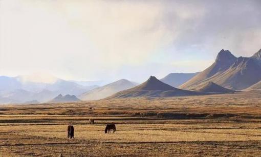 Không nên đốt lửa sưởi ấm ban đêm ở vùng đất Tây Tạng không có người, có thể liên lụy đến tính mạng! Tại sao lạ vậy?