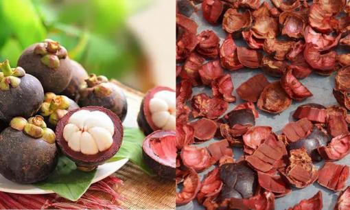 Sai lầm lớn nếu vứt vỏ măng cụt, hãy dùng nó để làm thuốc, có tác dụng thần kỳ với sức khỏe