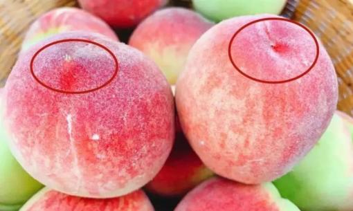 Đào cũng có quả đực, quả cái, vậy chọn quả nào mới ngon? Người trồng lâu năm tiết lộ