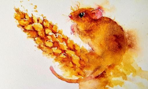 Cuối tuần này (27/5 - 28/5): top 3 con giáp vượng vận quý nhân, cuộc sống khởi sắc, không còn lo lắng về tiền bạc