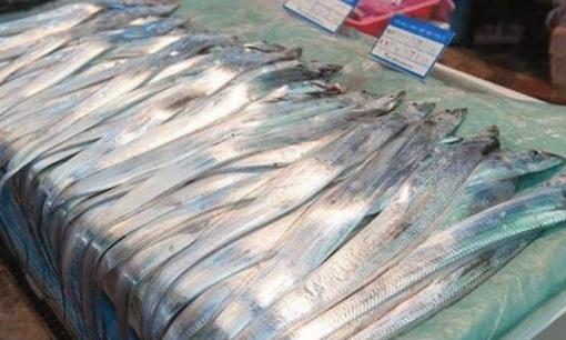 Loài cá bá đạo nhất thế giới 'tự tử' ngay sau khi bị bắt, nhiều người thích ăn thịt