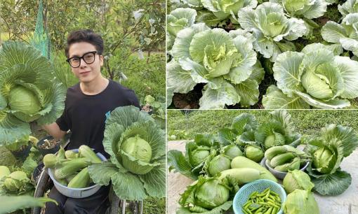 Khu vườn xanh mướt của chàng trai bị liệt hai chân, ngồi xe lăn để trồng và chăm sóc rau mỗi ngày