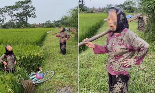 Hình ảnh 2 cụ bà đèo nhau ra đồng, không may bị ngã xuống ruộng gây bão mạng