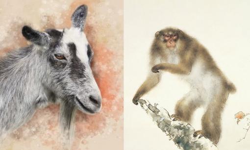 Tử vi 12 con giáp thứ 6 ngày 2/6/2023: Tuổi Mùi thăng quan tiến chức, Thân nguy cơ mất mát tiền bạc