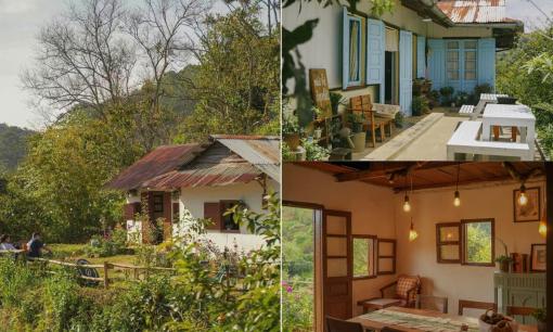 Cô gái 29 tuổi chán phố thị chuyển về sống ở ngôi nhà đơn sơ tại Đà Lạt, nhìn ảnh ai cũng muốn dọn về cùng
