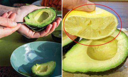 Bơ đang vào mùa, học ngay mẹo bảo quản bơ đơn giản, để mấy tháng liền không sợ hỏng