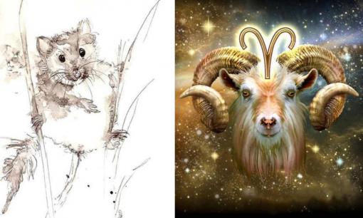 Tử vi 12 con giáp thứ 2 ngày 5/6/2023: Tuổi Mùi vận tài lộc có điểm sáng, Tý gặp rắc rối