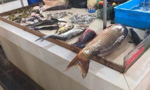 4 loại cá thường thấy ở chợ rau được nhiều người yêu thích. Chủ hàng thủy sản: Tôi ít ăn