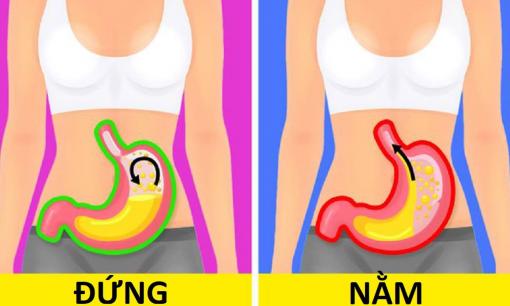 Ăn xong nên ngồi, nằm hay đứng? Nhắc nhở: 5 việc nên làm sau khi ăn có thể gây hại cho cơ thể