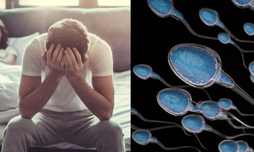 Nếu nhu cầu sinh lý của đàn ông lâu ngày không được giải tỏa thì tinh trùng sẽ đi đâu? Hầu hết mọi người có thể xấu hổ