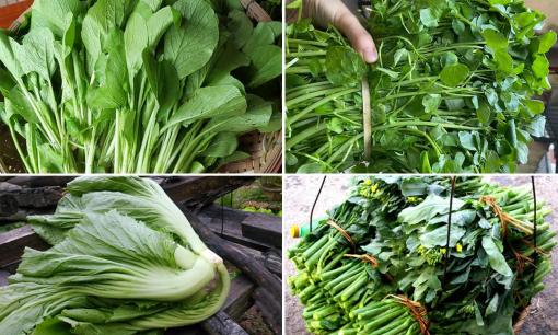 Ăn bao nhiêu năm, liệu bạn đã gọi tên chính xác và phân biệt được 10 loại rau cải