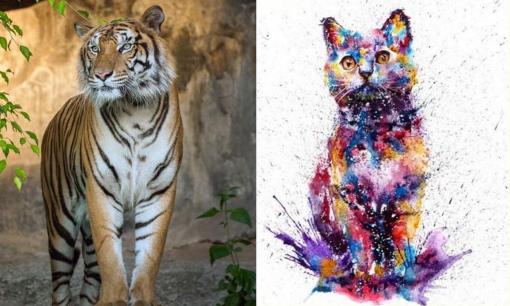 Tử vi 12 con giáp thứ 2 ngày 19/6/2023: Tuổi Dần công việc khó khăn, Mão được nâng đỡ